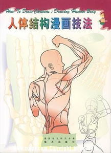 精选动漫设计教材 从入门到精通的必读指南